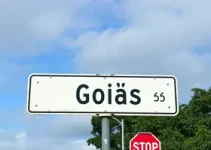 Av. Dqa. de Goiás, 571 parada