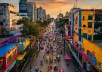 programação Carnaval 2026