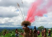 Festival do Cambuci