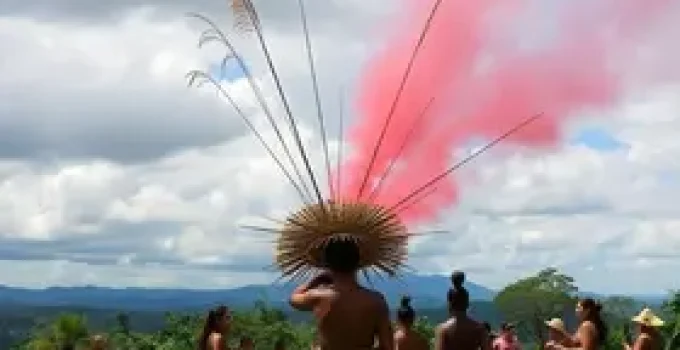 Festival do Cambuci