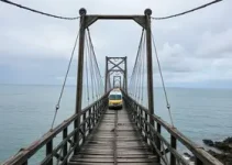 ponte de madeira em más condições