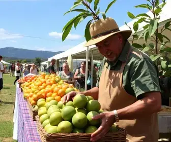 produção artesanal de cambuci