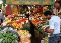 sabores da Mata Atlântica