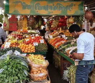 sabores da Mata Atlântica