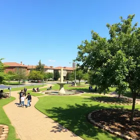 requalificação do Parque Vila Sílvia
